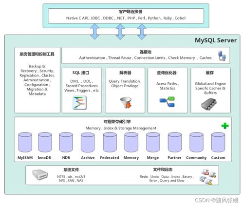 MySQL數(shù)據(jù)庫(kù)基礎(chǔ)與數(shù)據(jù)處理服務(wù)入門